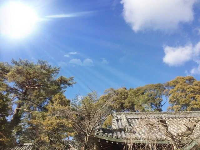 外壁が色あせてしまう原因とは？